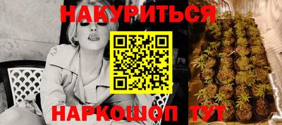 индика Анжеро-Судженск