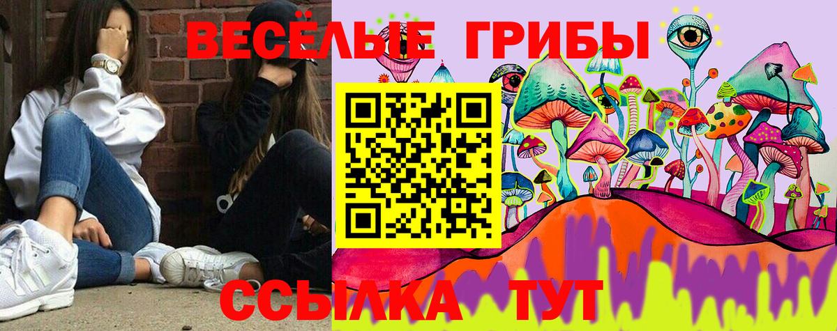 Галлюциногенные грибы мухоморы  Вход с VPN  Губкинский 